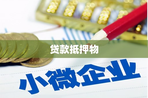 庆元贷款抵押物
