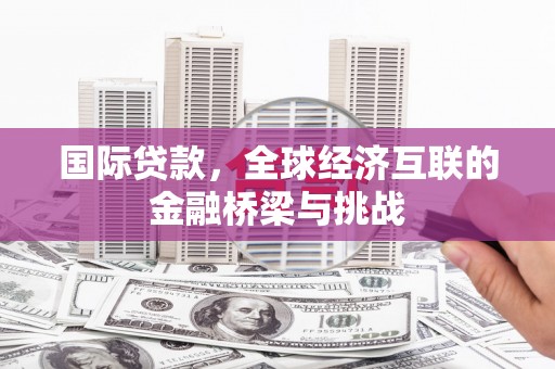 庆元国际贷款，全球经济互联的金融桥梁与挑战