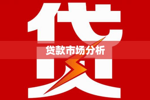 庆元贷款市场分析