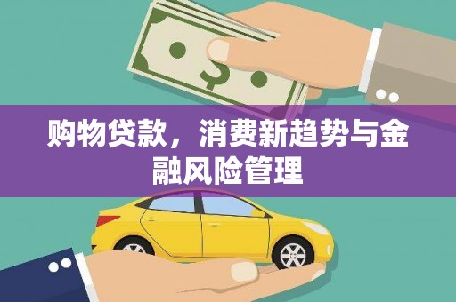 庆元购物贷款，消费新趋势与金融风险管理