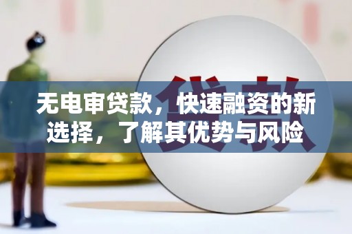 庆元无电审贷款，快速融资的新选择，了解其优势与风险