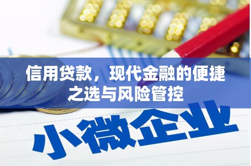 庆元信用贷款，现代金融的便捷之选与风险管控
