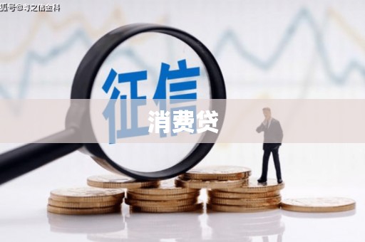 庆元消费贷