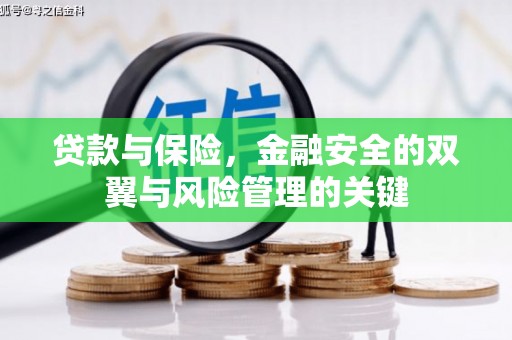 庆元贷款与保险，金融安全的双翼与风险管理的关键
