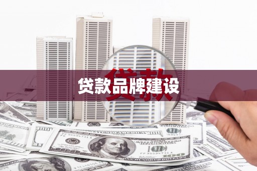 庆元贷款品牌建设