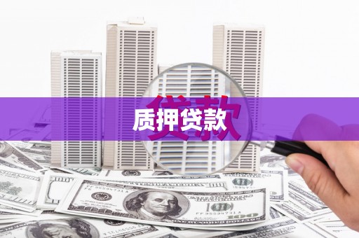 庆元质押贷款