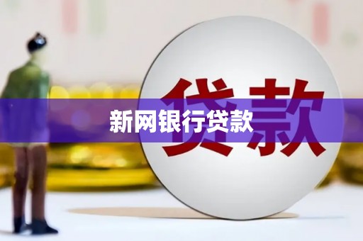 庆元新网银行贷款