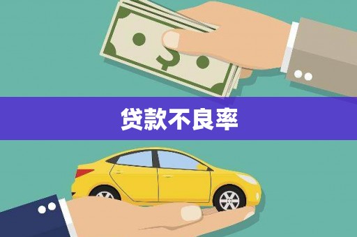 庆元贷款不良率