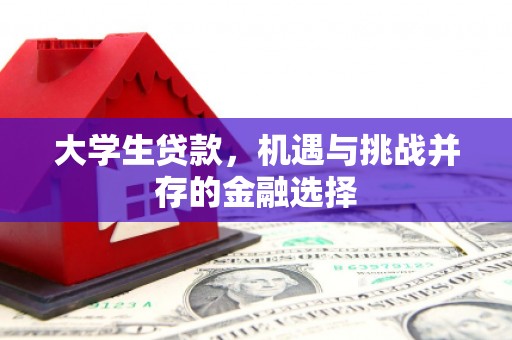 庆元大学生贷款，机遇与挑战并存的金融选择