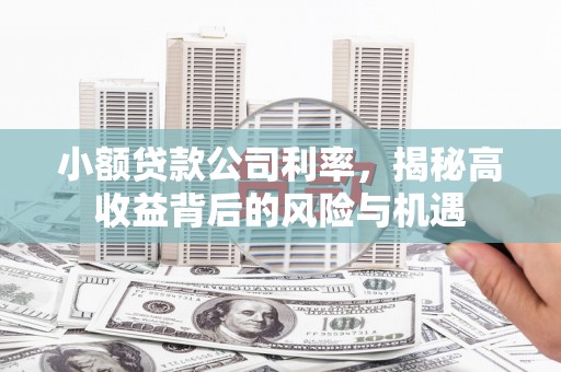 庆元小额贷款公司利率，揭秘高收益背后的风险与机遇