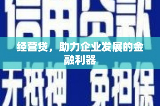 庆元经营贷，助力企业发展的金融利器