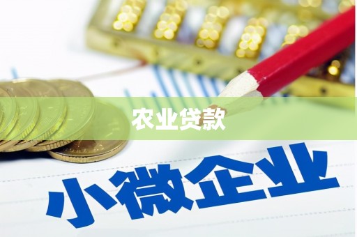 庆元农业贷款