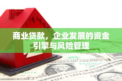 庆元商业贷款，企业发展的资金引擎与风险管理