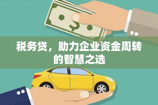 庆元税务贷，助力企业资金周转的智慧之选