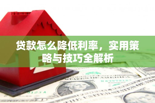 庆元贷款怎么降低利率，实用策略与技巧全解析