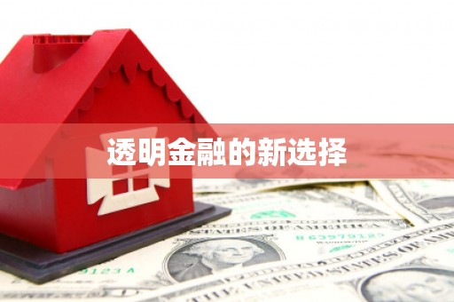 庆元透明金融的新选择