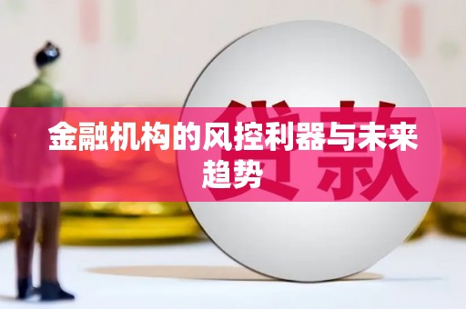 庆元金融机构的风控利器与未来趋势