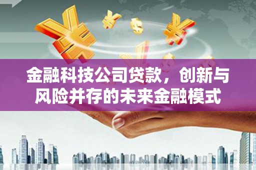 庆元金融科技公司贷款，创新与风险并存的未来金融模式