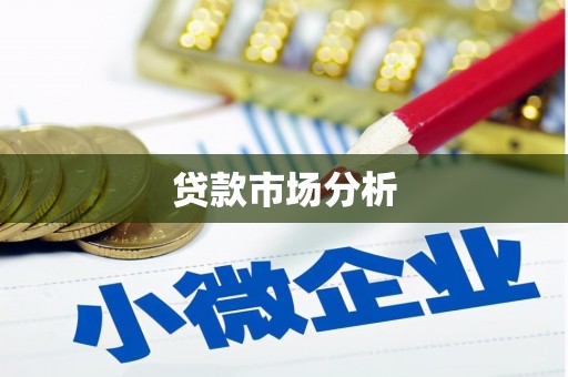 庆元贷款市场分析