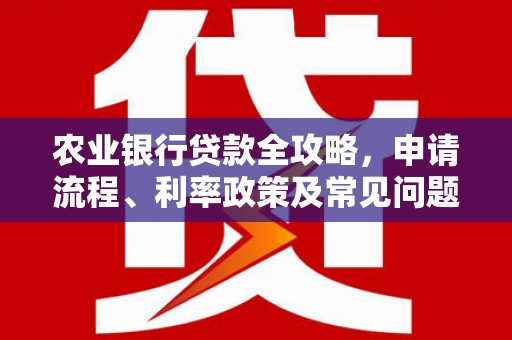 庆元农业银行贷款全攻略，申请流程、利率政策及常见问题解析