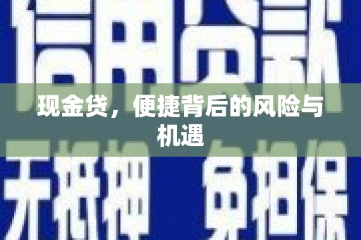 庆元现金贷，便捷背后的风险与机遇