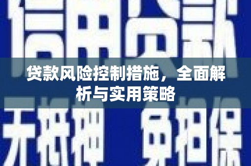 庆元贷款风险控制措施，全面解析与实用策略