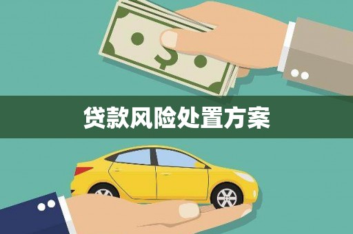 庆元贷款风险处置方案