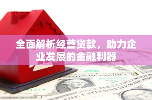 庆元全面解析经营贷款，助力企业发展的金融利器