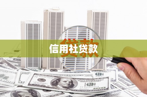 庆元信用社贷款