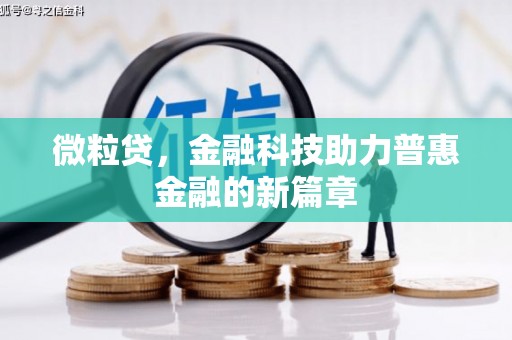 庆元微粒贷，金融科技助力普惠金融的新篇章