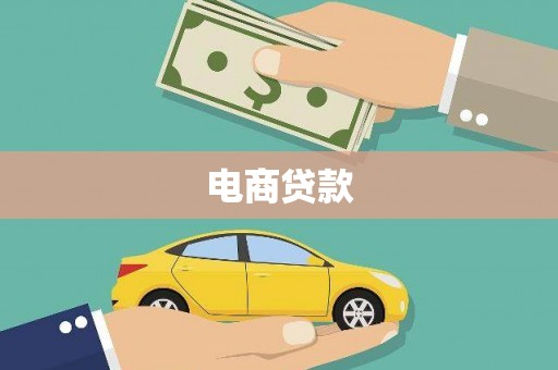 庆元电商贷款