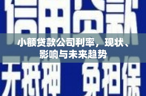 庆元小额贷款公司利率，现状、影响与未来趋势