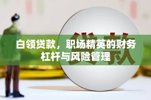 庆元白领贷款，职场精英的财务杠杆与风险管理