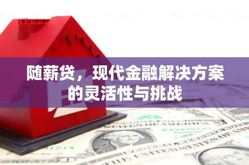 庆元随薪贷，现代金融解决方案的灵活性与挑战