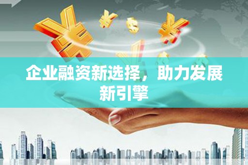 庆元企业融资新选择，助力发展新引擎