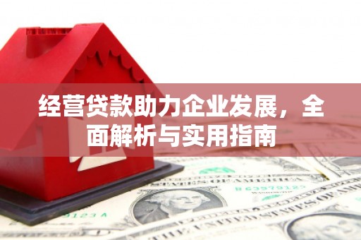 庆元经营贷款助力企业发展，全面解析与实用指南