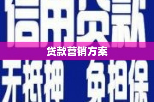 庆元贷款营销方案