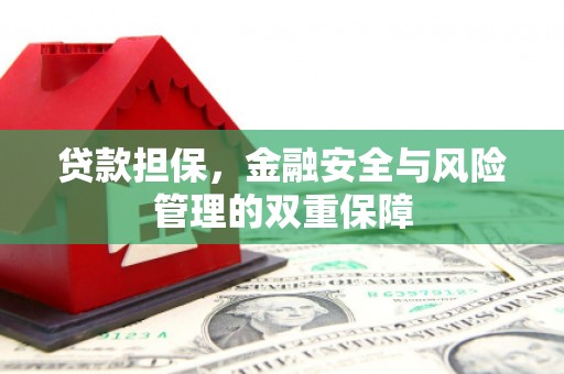 庆元贷款担保，金融安全与风险管理的双重保障