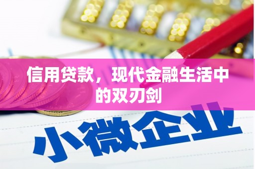 庆元信用贷款，现代金融生活中的双刃剑