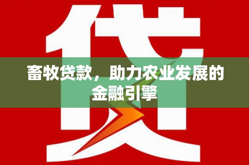 庆元畜牧贷款，助力农业发展的金融引擎