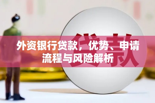 庆元外资银行贷款，优势、申请流程与风险解析