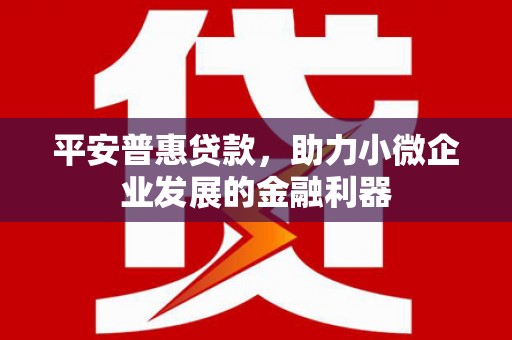 庆元平安普惠贷款，助力小微企业发展的金融利器