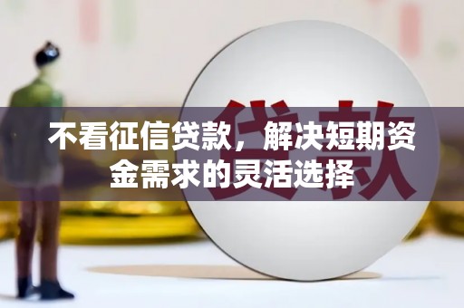 庆元不看征信贷款，解决短期资金需求的灵活选择