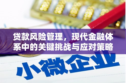庆元贷款风险管理，现代金融体系中的关键挑战与应对策略