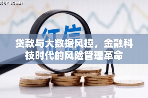 庆元贷款与大数据风控，金融科技时代的风险管理革命