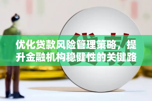 庆元优化贷款风险管理策略，提升金融机构稳健性的关键路径