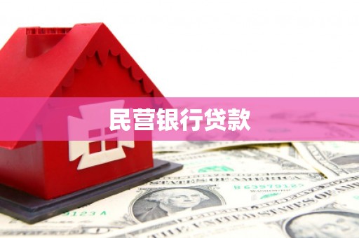 庆元民营银行贷款