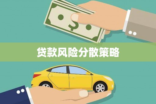 庆元贷款风险分散策略