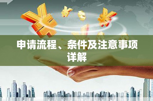 庆元申请流程、条件及注意事项详解