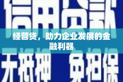 庆元经营贷，助力企业发展的金融利器